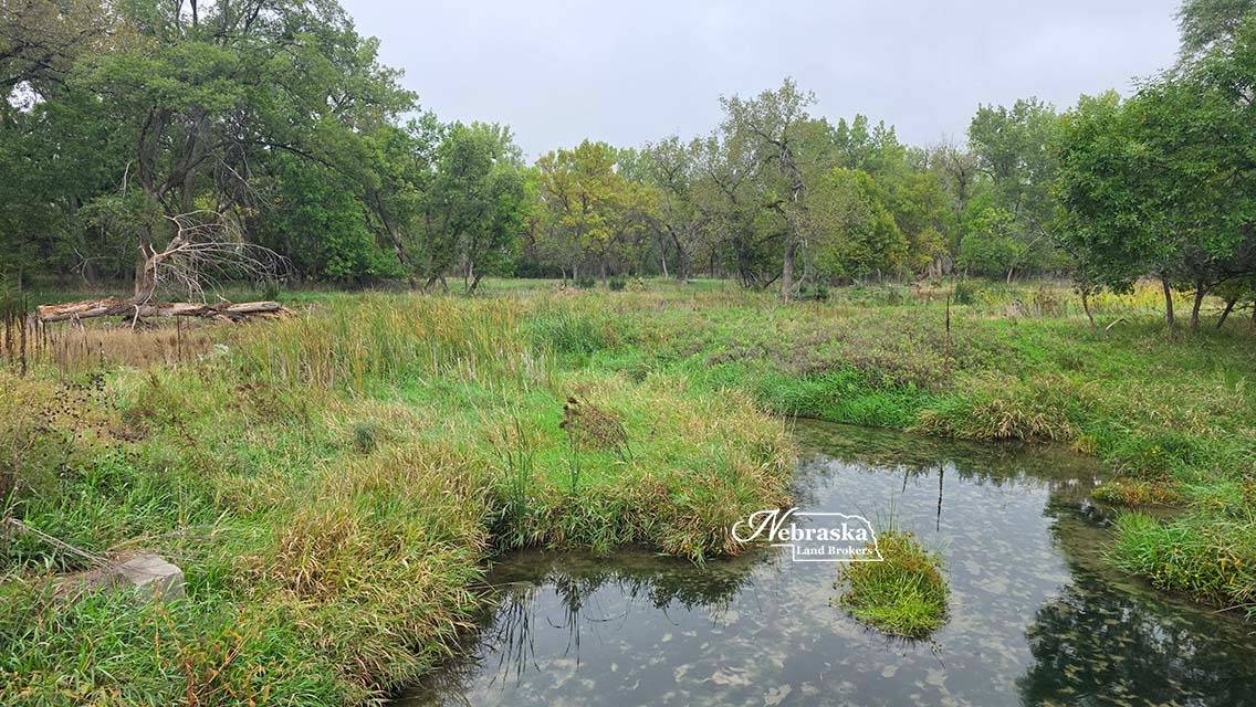 Photo 45 of 56 of farm or ranch property listing at 1365 N Wild Rose Road, Hershey, NE 69143
