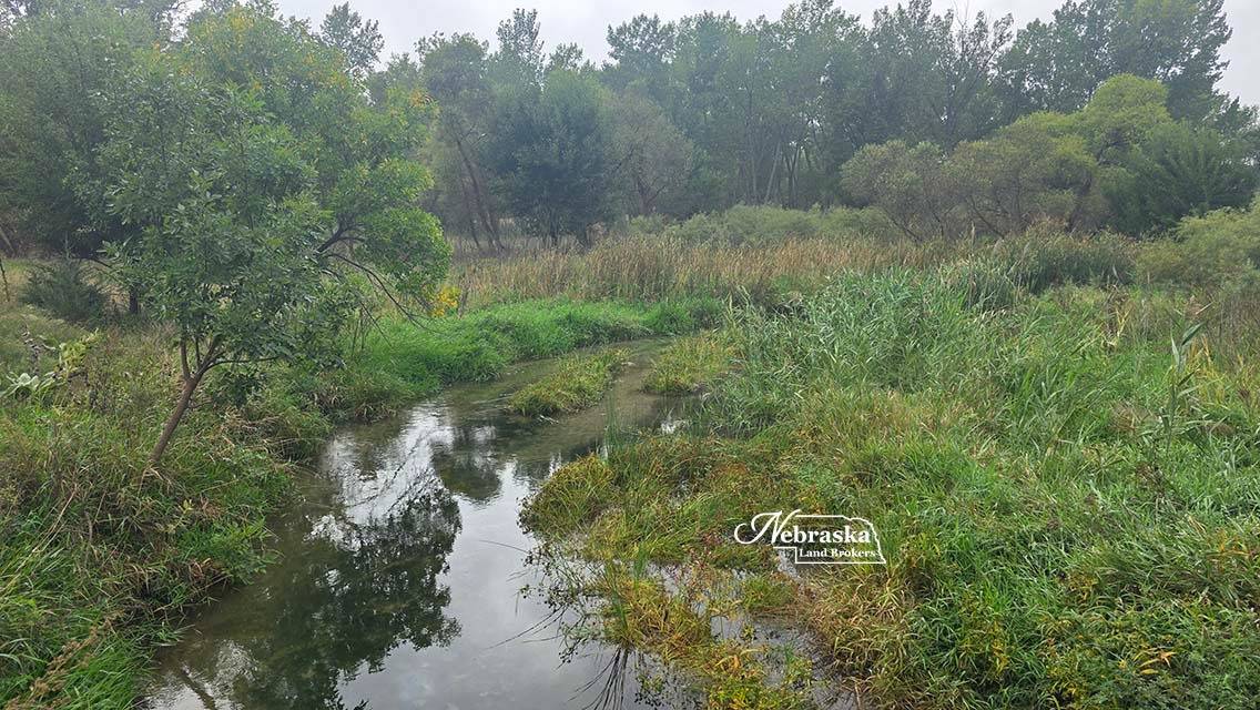 Photo 44 of 56 of farm or ranch property listing at 1365 N Wild Rose Road, Hershey, NE 69143