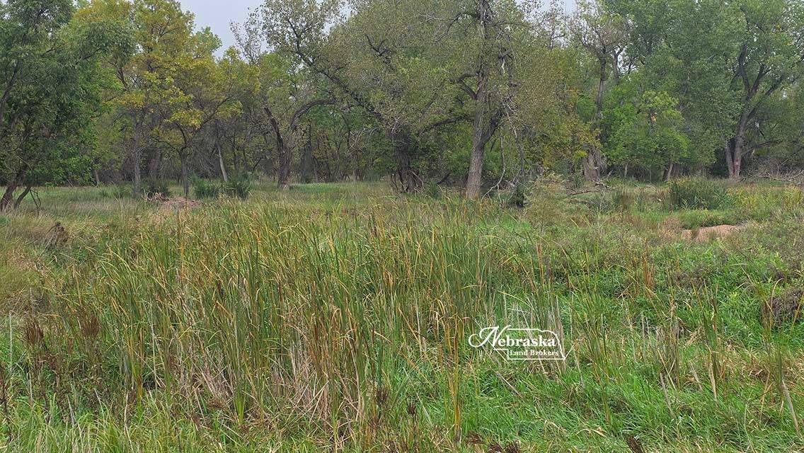 Photo 50 of 56 of farm or ranch property listing at 1365 N Wild Rose Road, Hershey, NE 69143
