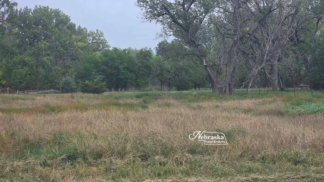 Photo 53 of 56 of farm or ranch property listing at 1365 N Wild Rose Road, Hershey, NE 69143