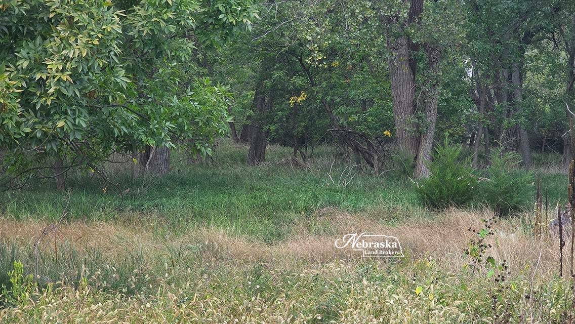 Photo 49 of 56 of farm or ranch property listing at 1365 N Wild Rose Road, Hershey, NE 69143