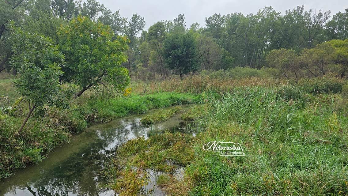 Photo 48 of 56 of farm or ranch property listing at 1365 N Wild Rose Road, Hershey, NE 69143