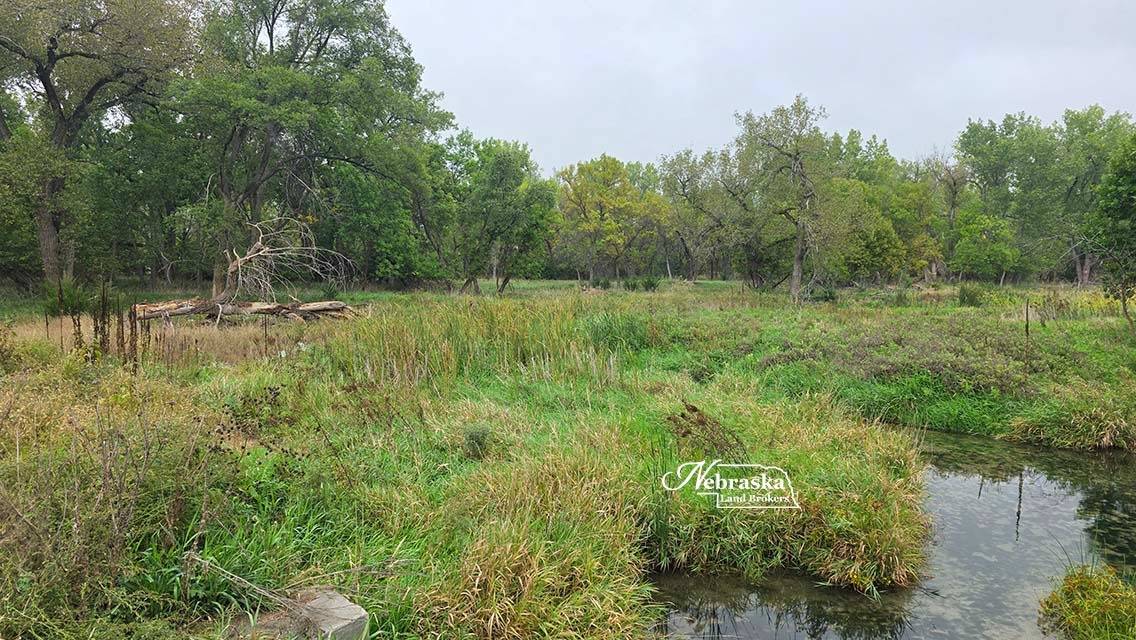 Photo 46 of 56 of farm or ranch property listing at 1365 N Wild Rose Road, Hershey, NE 69143