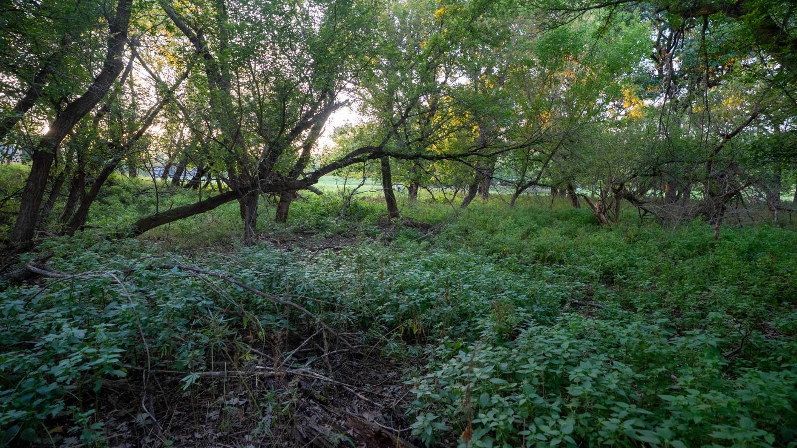 Photo 23 of 60 of farm or ranch property listing at TBD 502nd Ave, Lynch, NE 68746