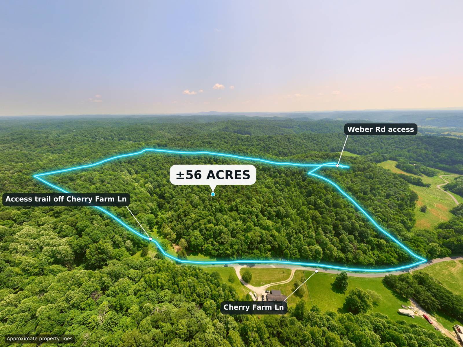 56 acres in Clay County, TN: hunting land for sale near Celina, TN
