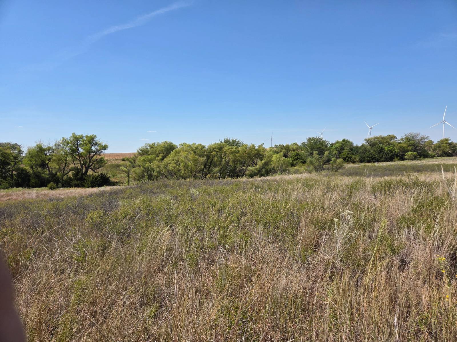 Photo 3 of 28 of land for sale at 13609 SW 150th St., Nashville, KS 67112