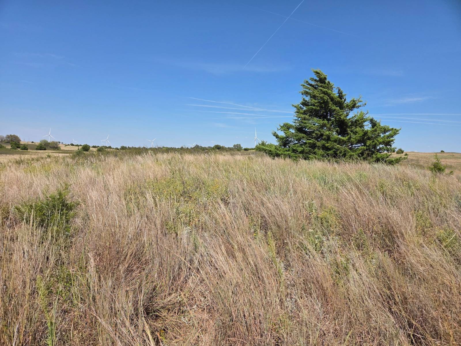 Photo 4 of 28 of land for sale at 13609 SW 150th St., Nashville, KS 67112