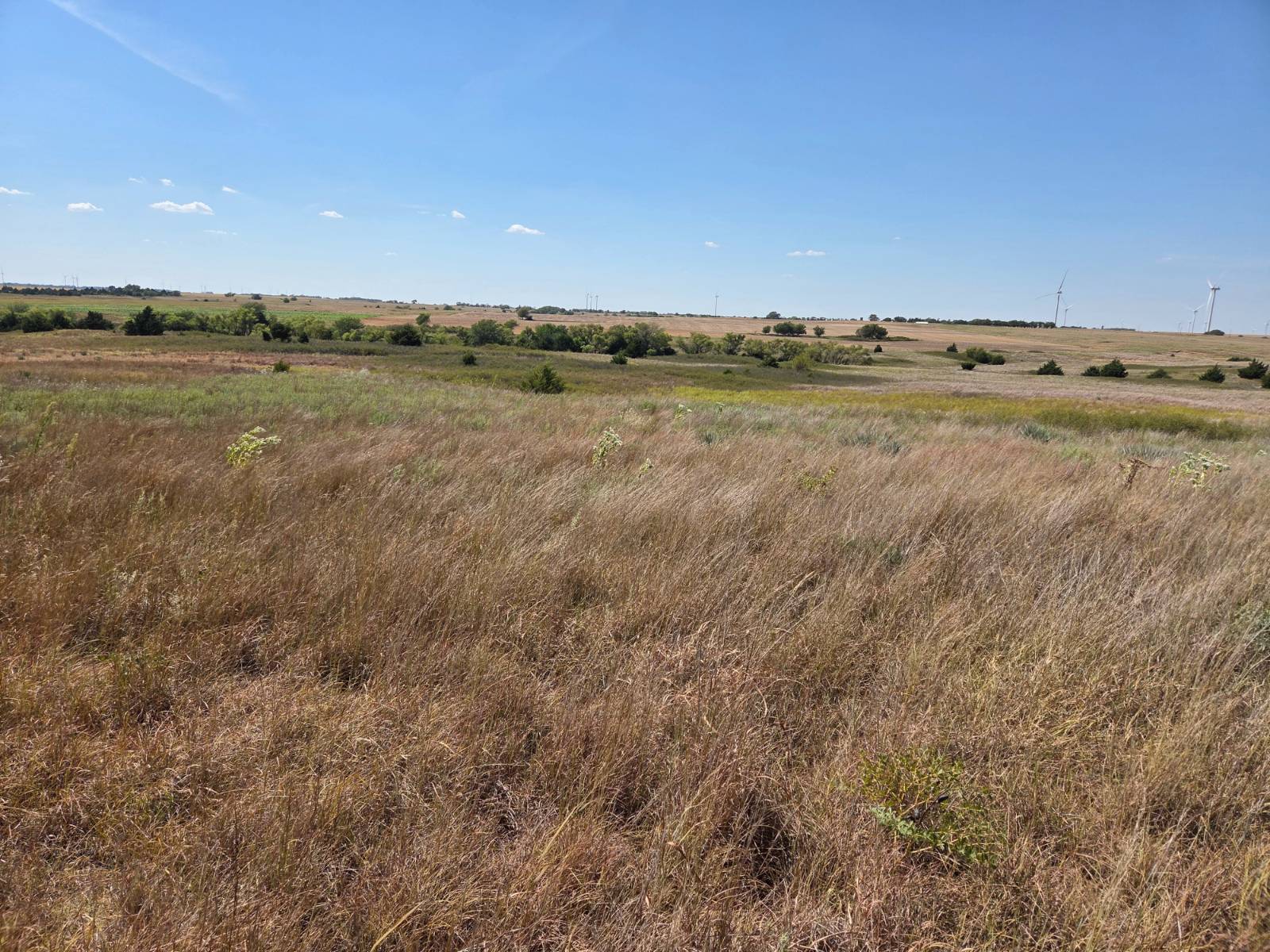 Photo 5 of 28 of land for sale at 13609 SW 150th St., Nashville, KS 67112