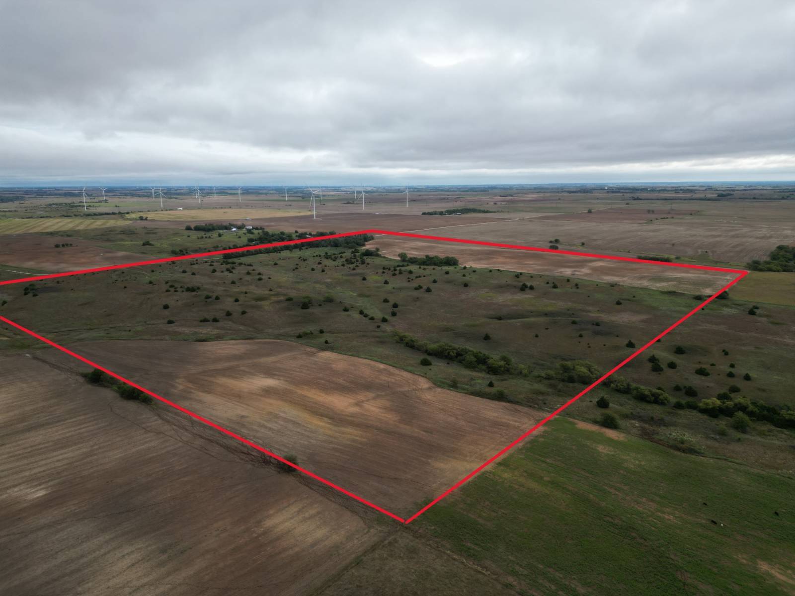 Photo 1 of 28 of land for sale at 13609 SW 150th St., Nashville, KS 67112