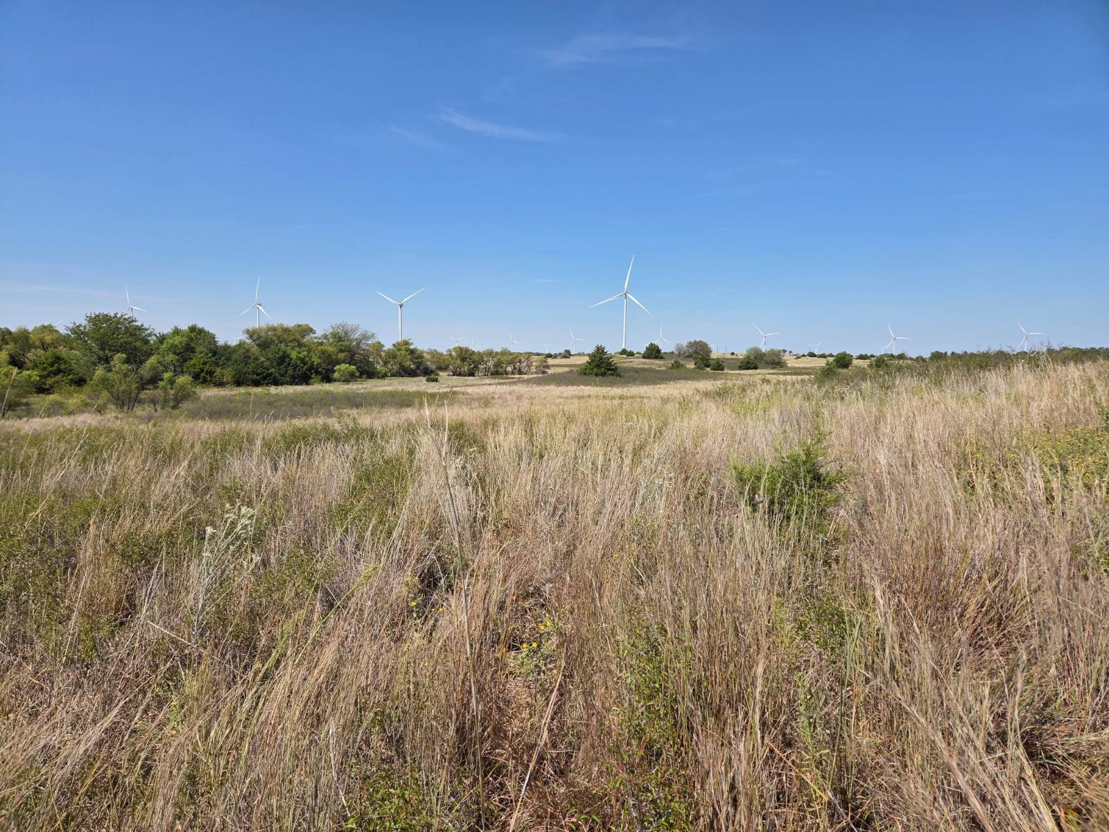 Photo 2 of 28 of land for sale at 13609 SW 150th St., Nashville, KS 67112