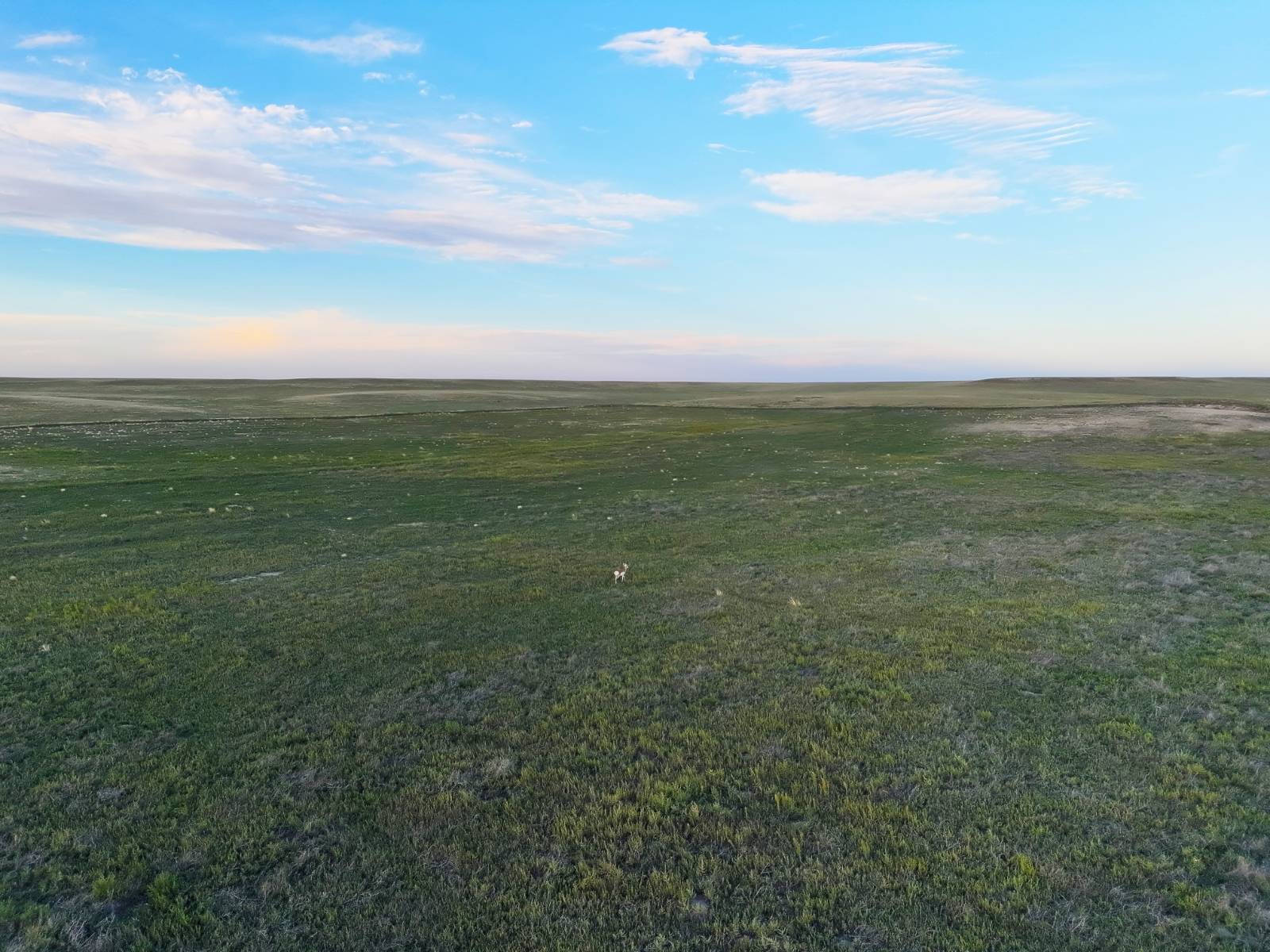 Photo 8 of 27 of land listing at TBD Road, Potter, NE 69156