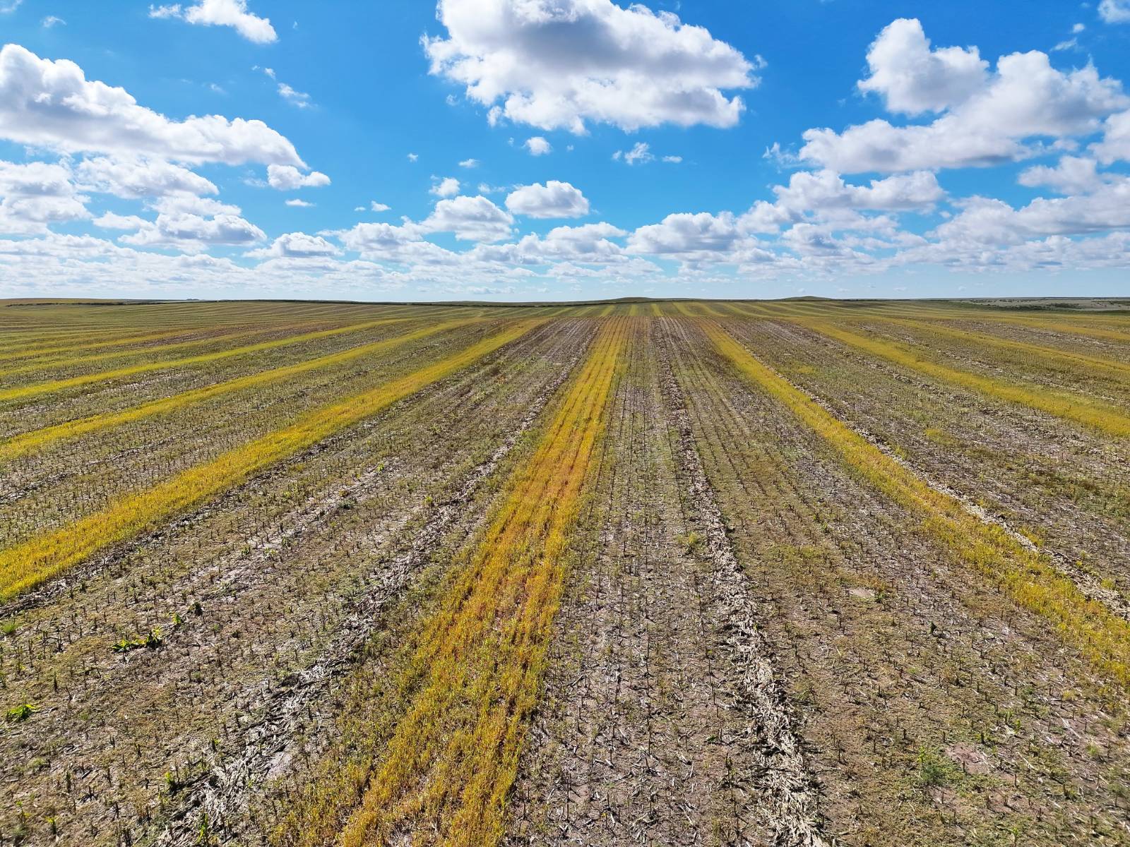 Photo 6 of 23 of land listing at Road 34, Lodgepole, NE 69149