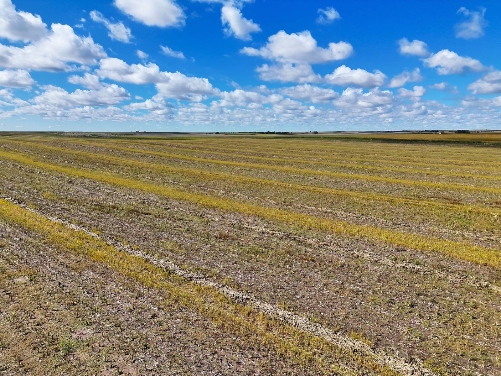 Photo 5 of 23 of land listing at Road 34, Lodgepole, NE 69149