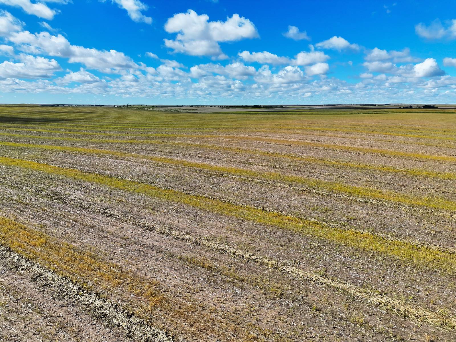 Photo 14 of 23 of land listing at Road 34, Lodgepole, NE 69149