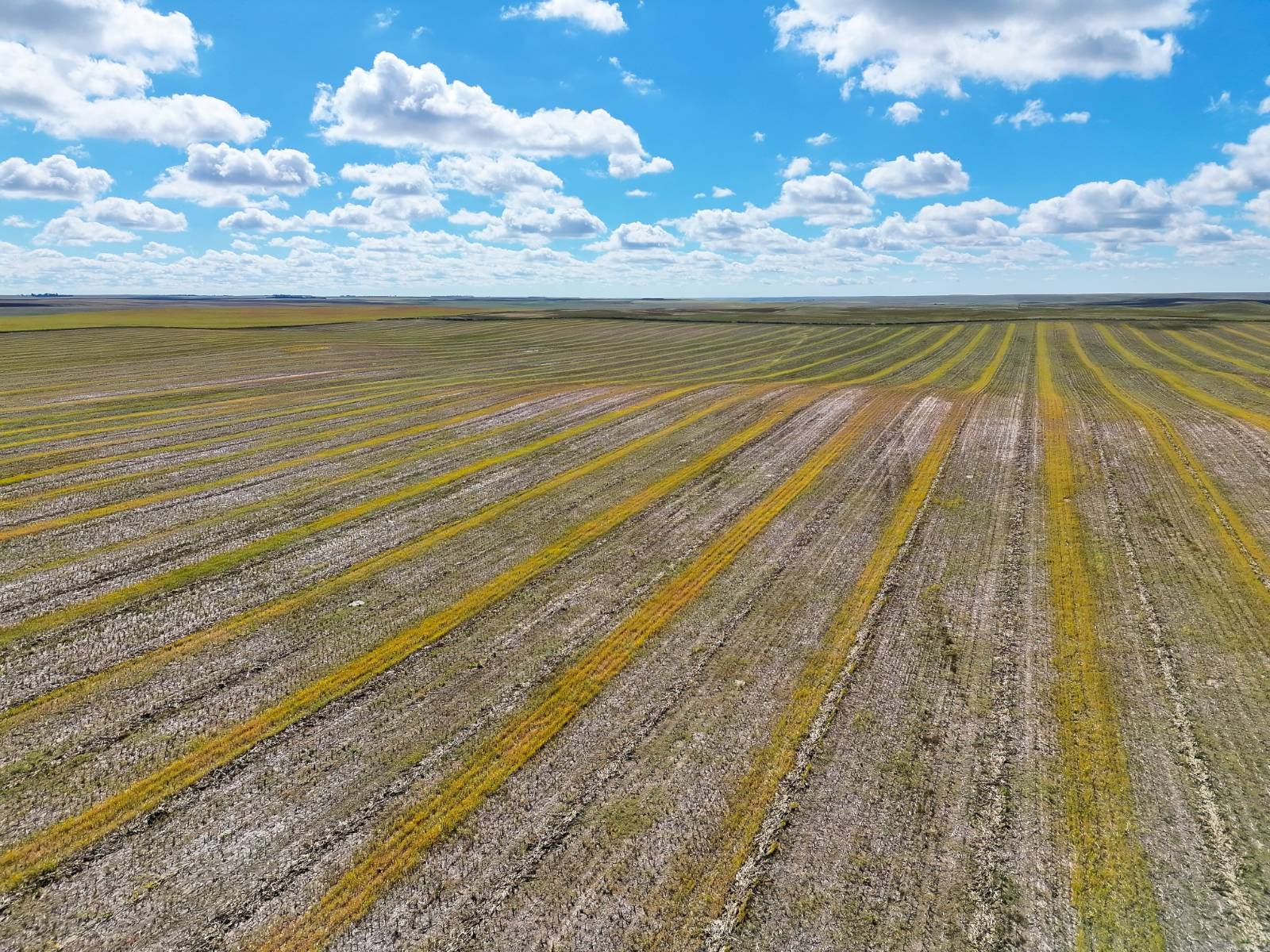 Photo 13 of 23 of land listing at Road 34, Lodgepole, NE 69149