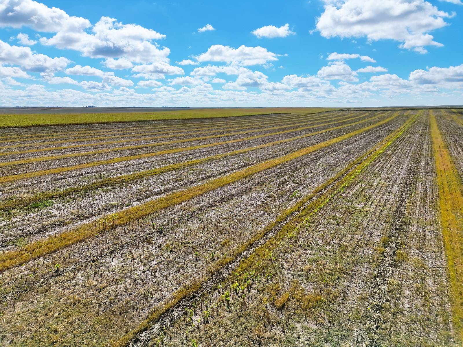 Photo 1 of 23 of land listing at Road 34, Lodgepole, NE 69149