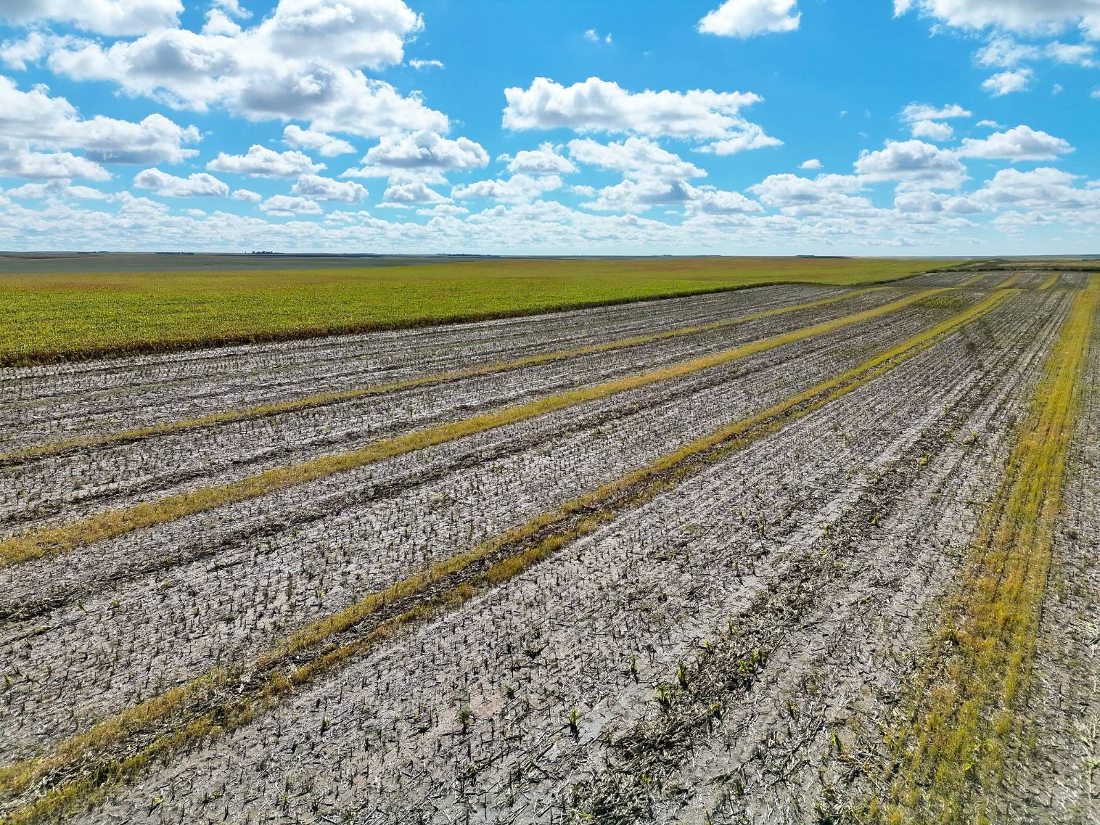 Photo 11 of 23 of land listing at Road 34, Lodgepole, NE 69149
