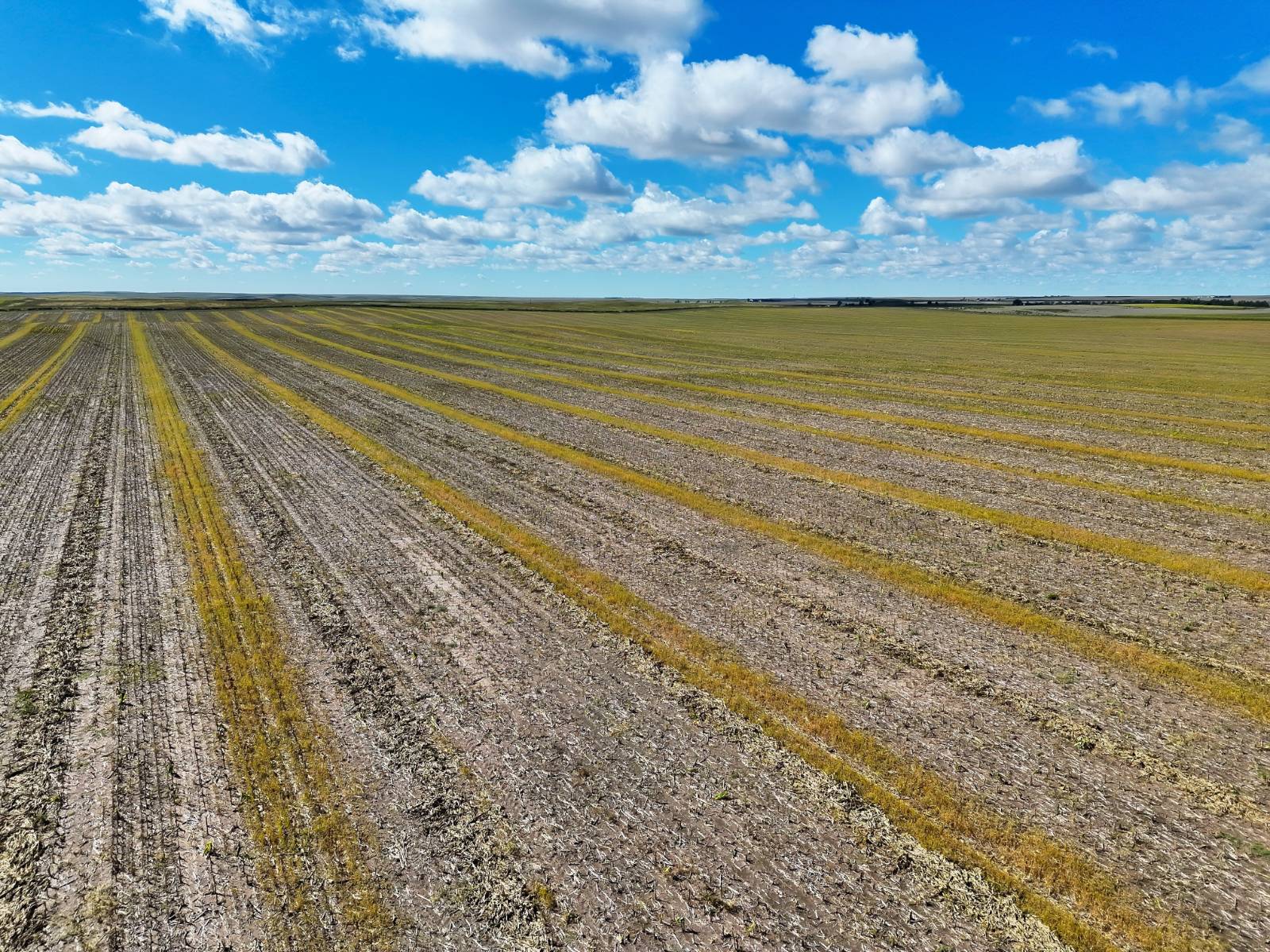 Photo 10 of 23 of land listing at Road 34, Lodgepole, NE 69149