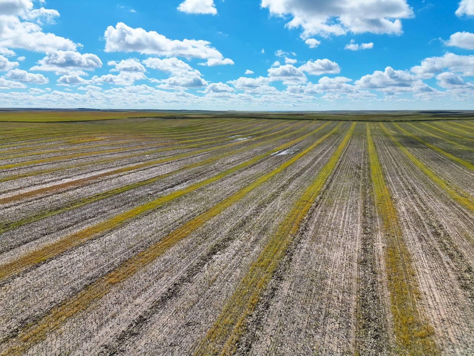 Photo 16 of 23 of land listing at Road 34, Lodgepole, NE 69149