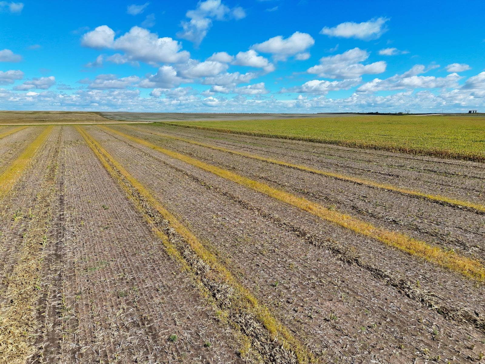 Photo 9 of 23 of land listing at Road 34, Lodgepole, NE 69149