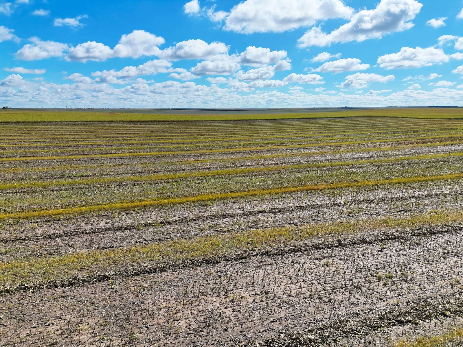 Photo 8 of 23 of land listing at Road 34, Lodgepole, NE 69149