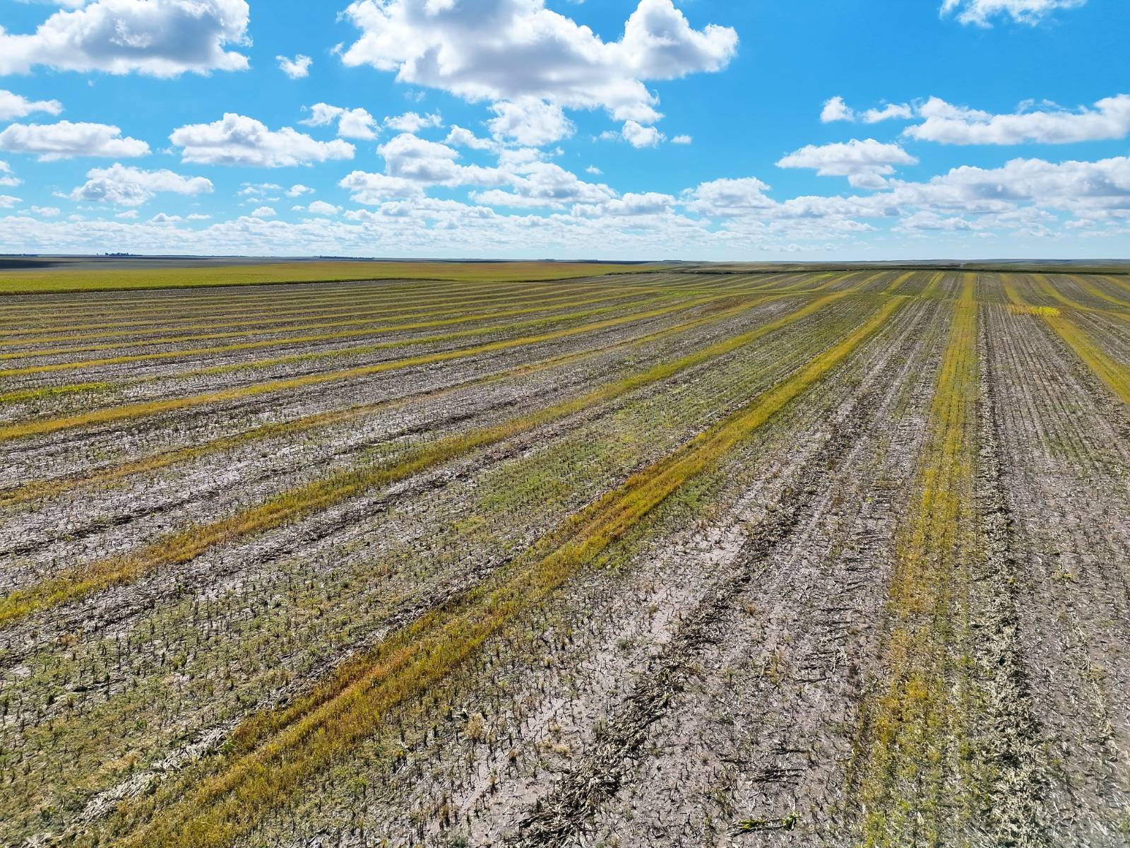 Photo 17 of 23 of land listing at Road 34, Lodgepole, NE 69149