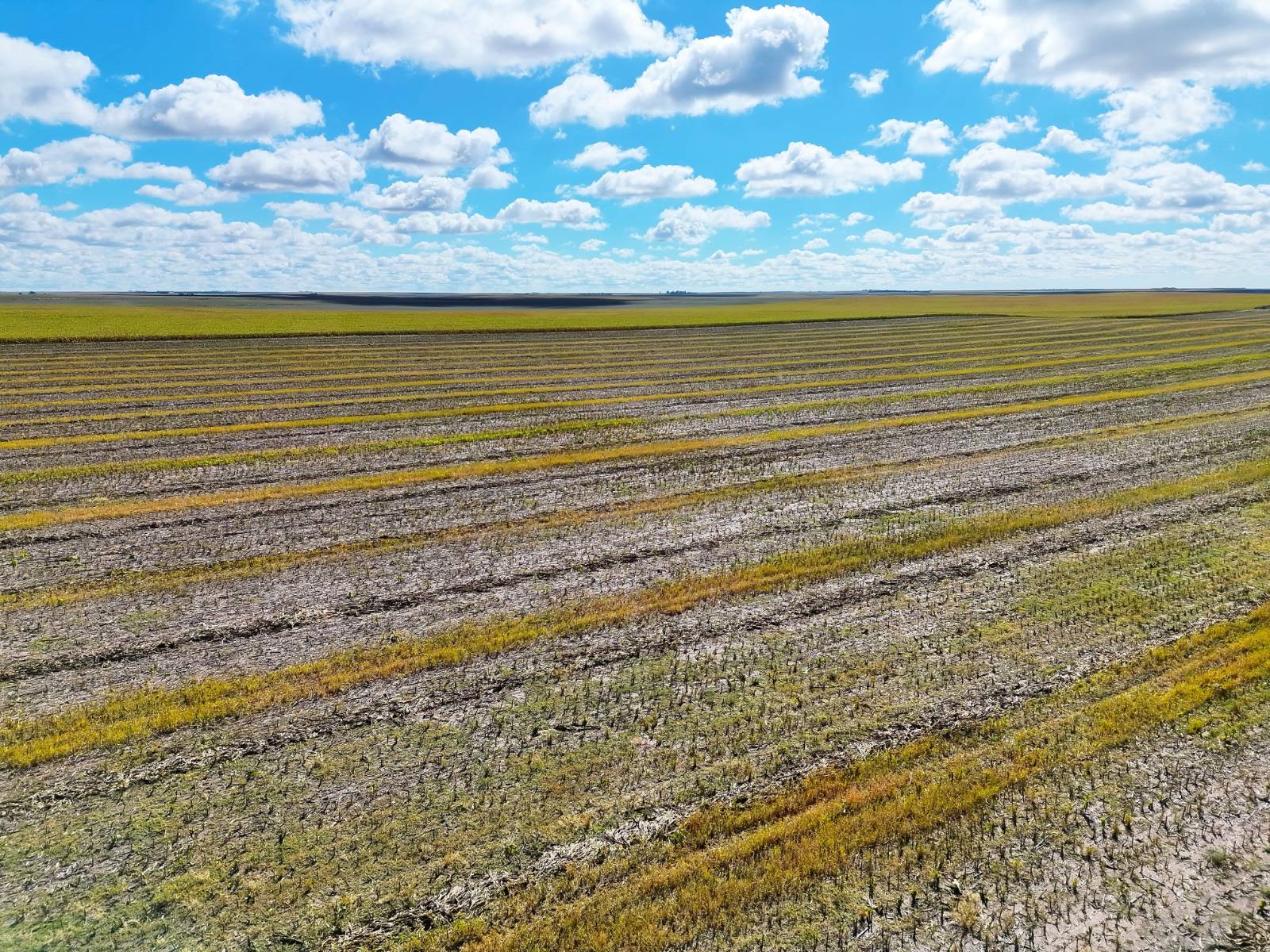 Photo 4 of 23 of land listing at Road 34, Lodgepole, NE 69149
