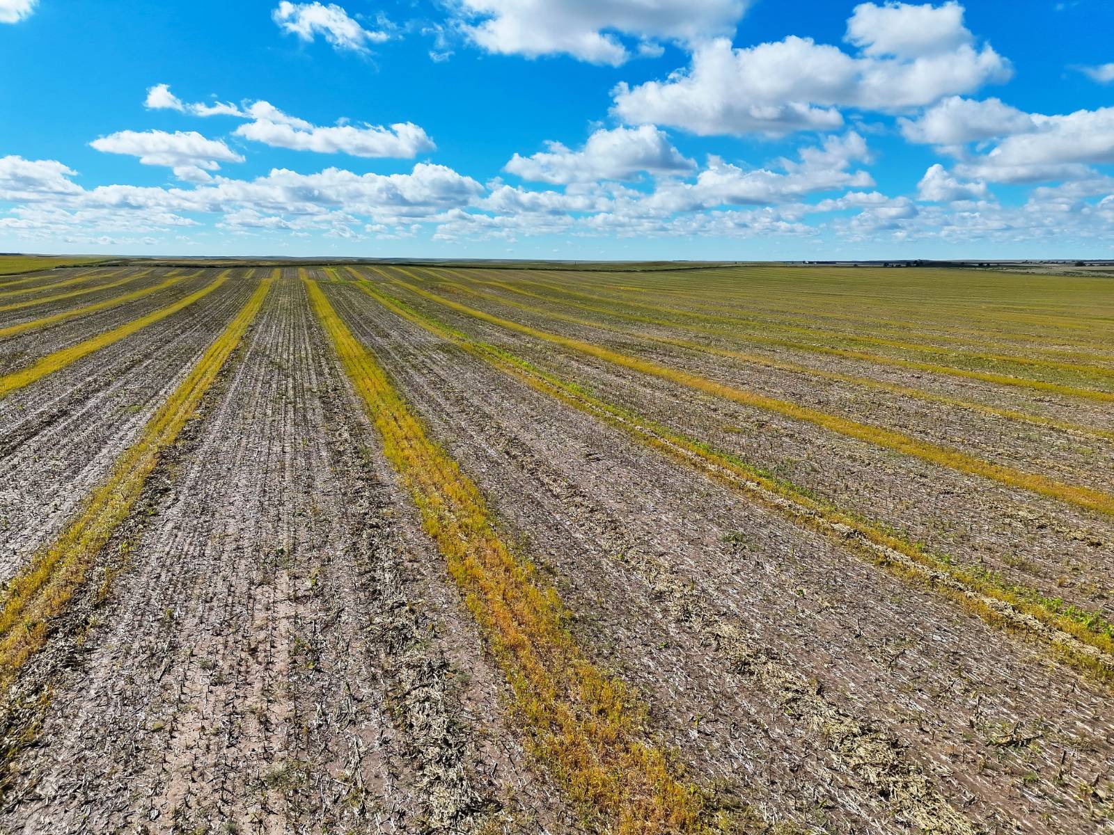 Photo 3 of 23 of land listing at Road 34, Lodgepole, NE 69149