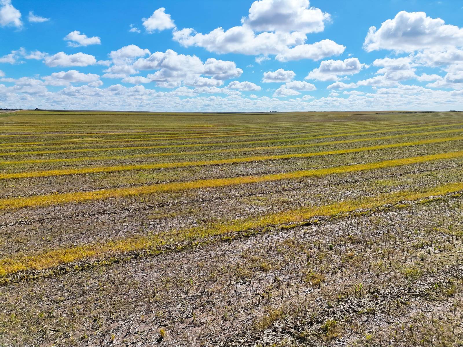 Photo 2 of 23 of land listing at Road 34, Lodgepole, NE 69149
