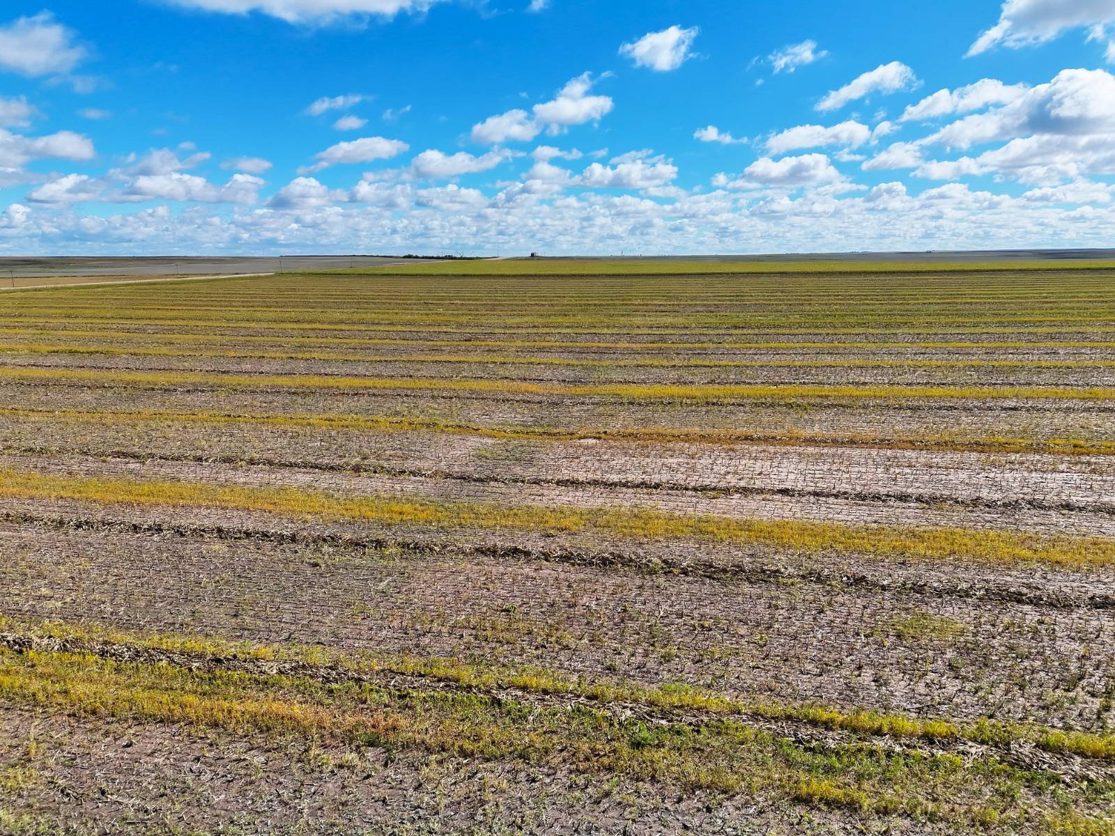 Photo 12 of 23 of land listing at Road 34, Lodgepole, NE 69149