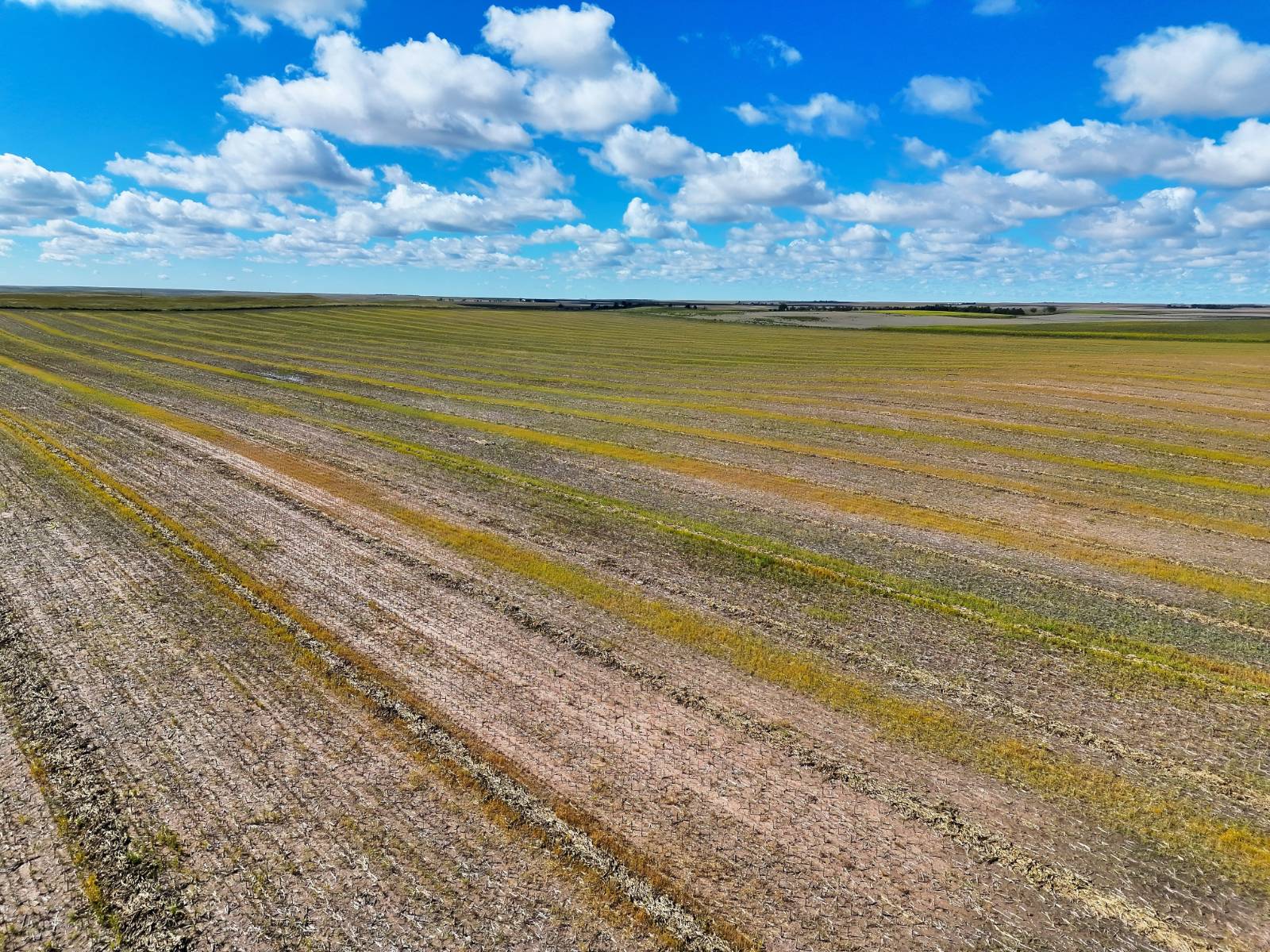 Photo 7 of 23 of land listing at Road 34, Lodgepole, NE 69149