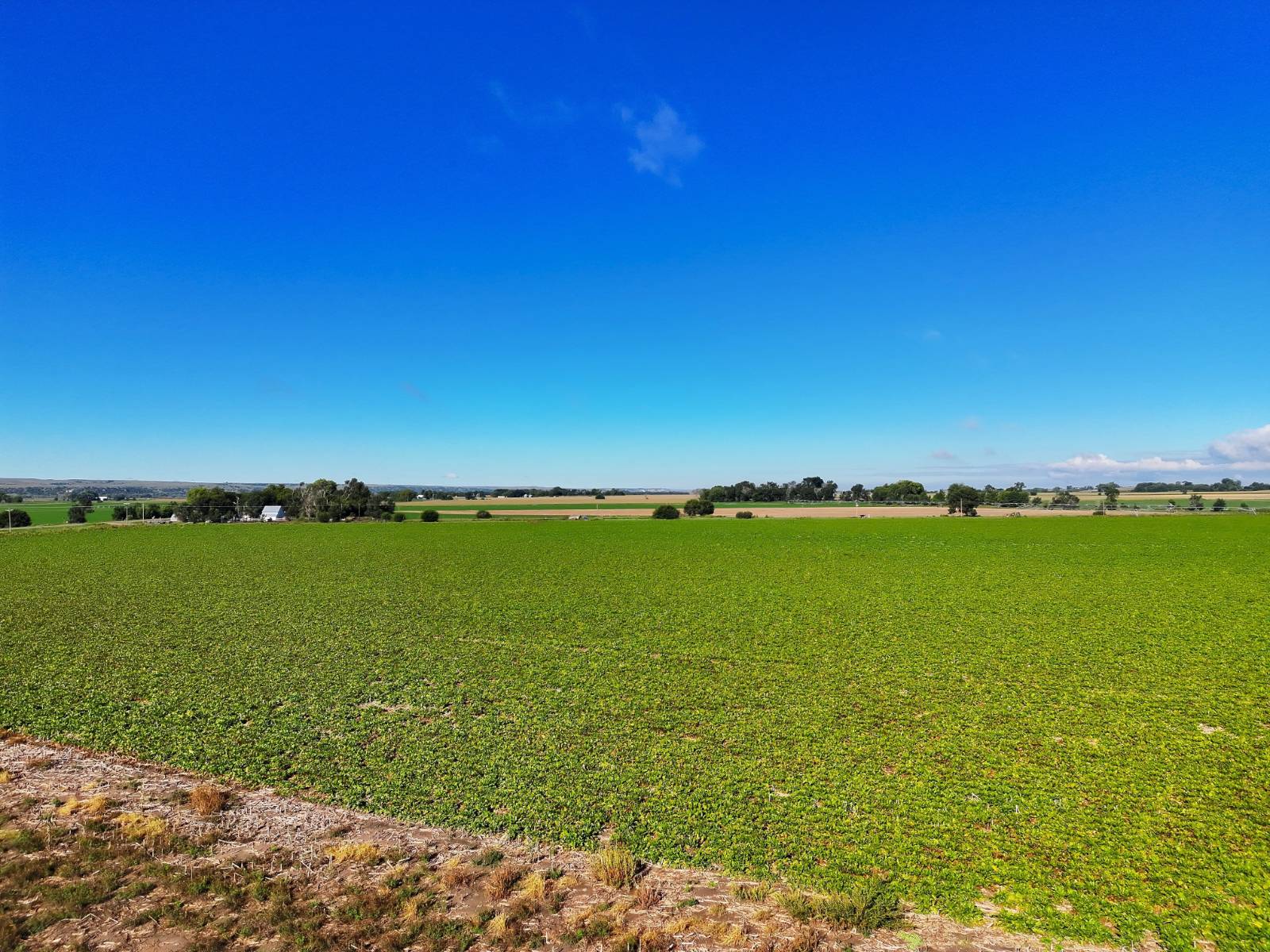 Photo 43 of 49 of land listing at State Hwy 92, Lewellen, NE 69147