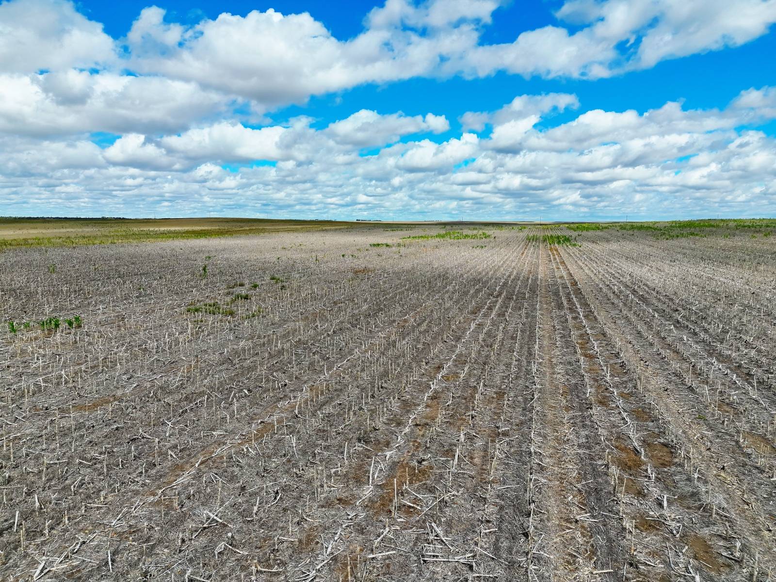 Photo 7 of 22 of land listing at Road 26, Sidney, NE 69162