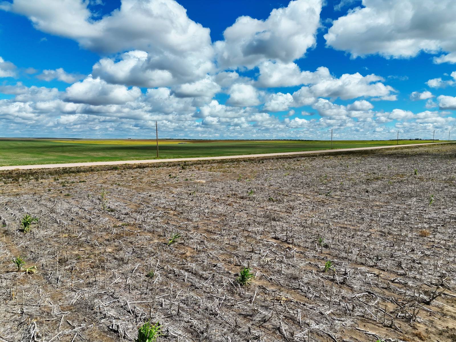 Photo 1 of 22 of land listing at Road 26, Sidney, NE 69162