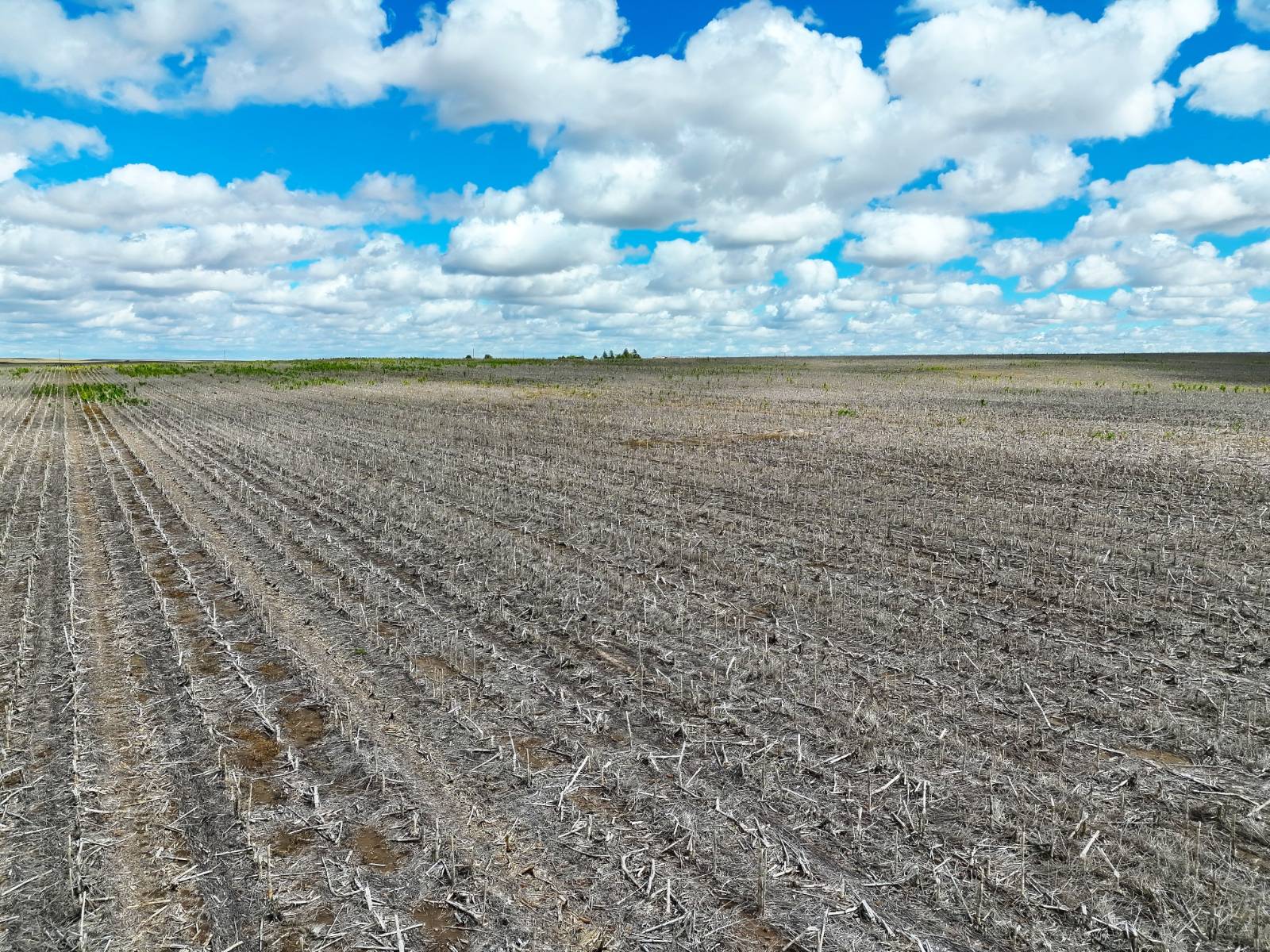 Photo 3 of 22 of land listing at Road 26, Sidney, NE 69162