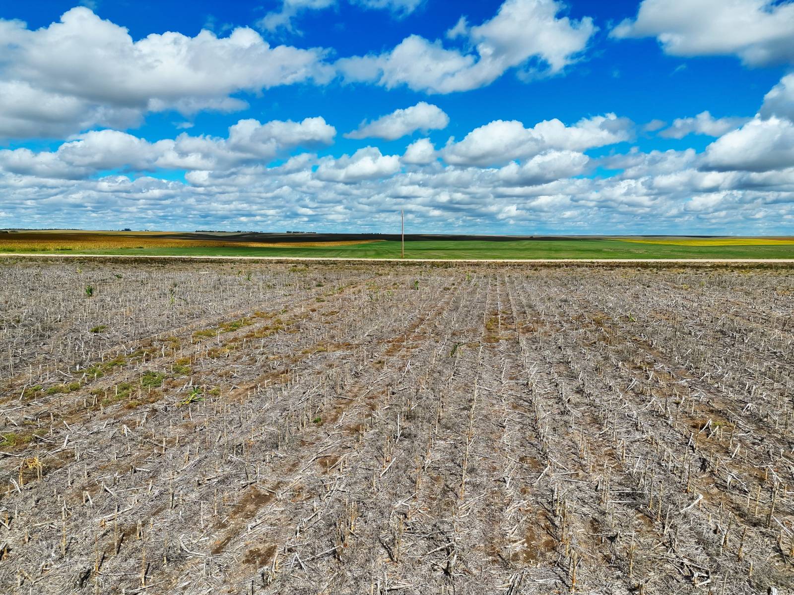 Photo 6 of 22 of land listing at Road 26, Sidney, NE 69162