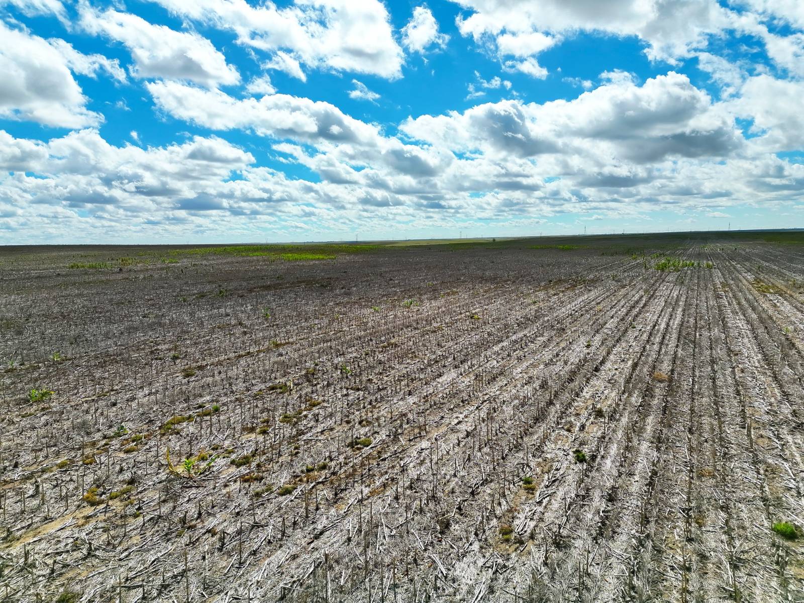 Photo 5 of 22 of land listing at Road 26, Sidney, NE 69162