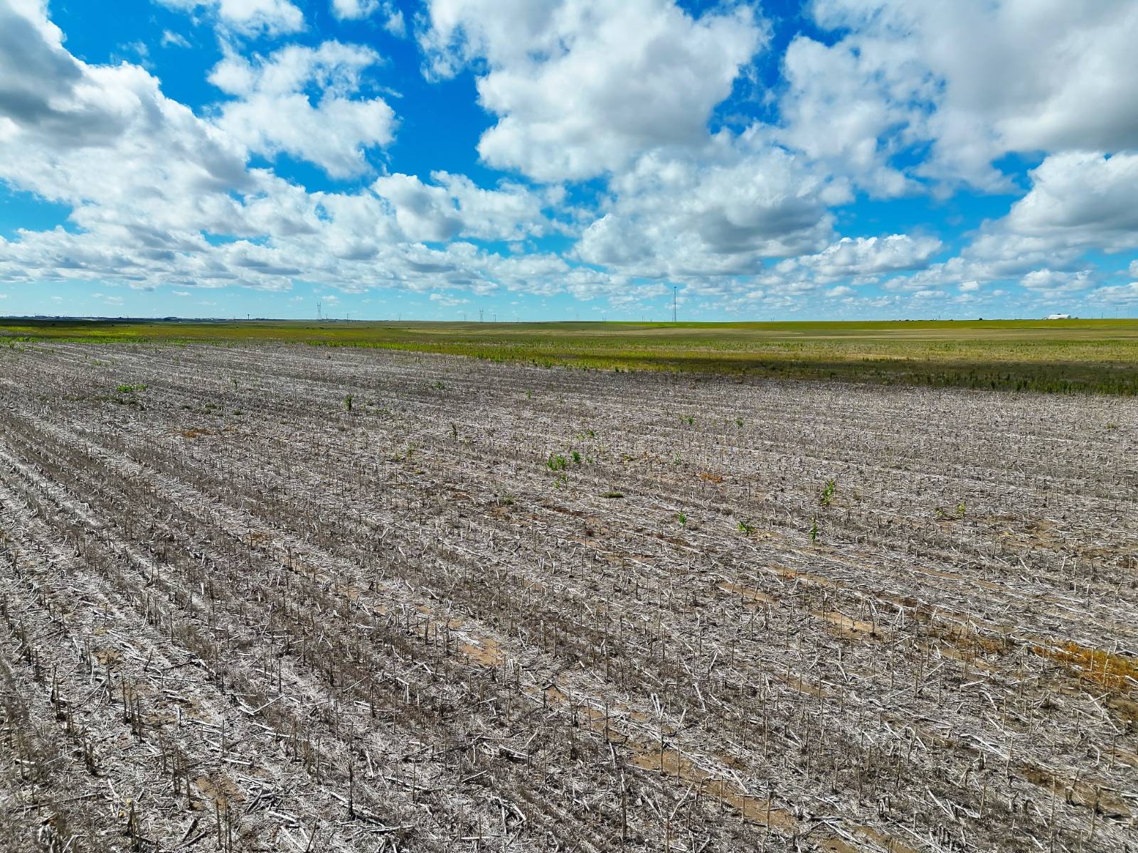 Photo 2 of 22 of land listing at Road 26, Sidney, NE 69162