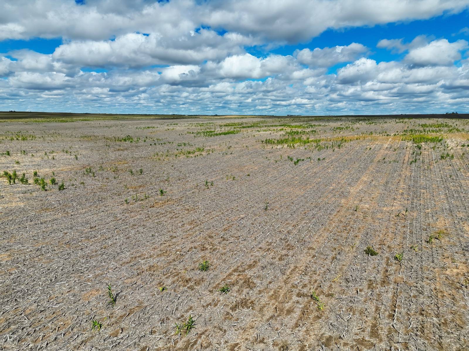 Photo 9 of 22 of land listing at Road 26, Sidney, NE 69162