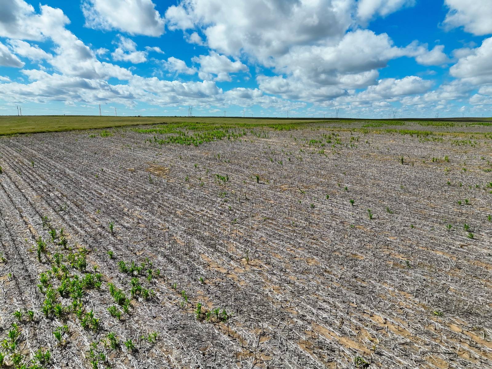 Photo 8 of 22 of land listing at Road 26, Sidney, NE 69162