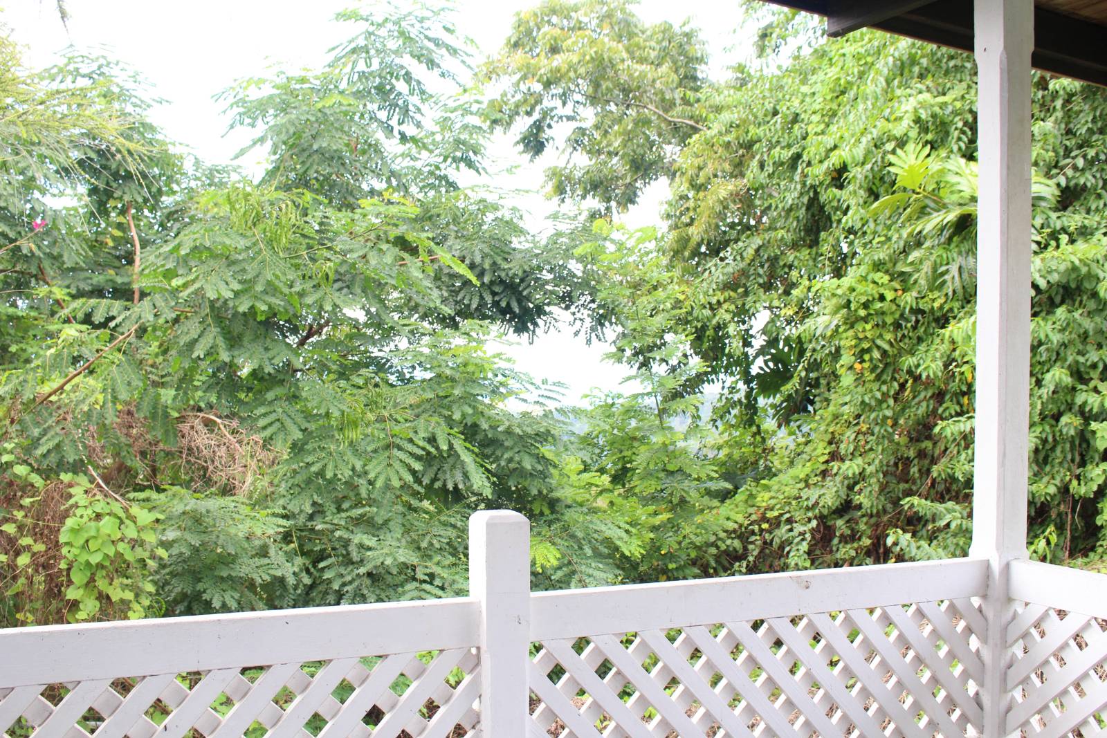 1 Windsor Estate, Retreat Jamaica, FL 00000