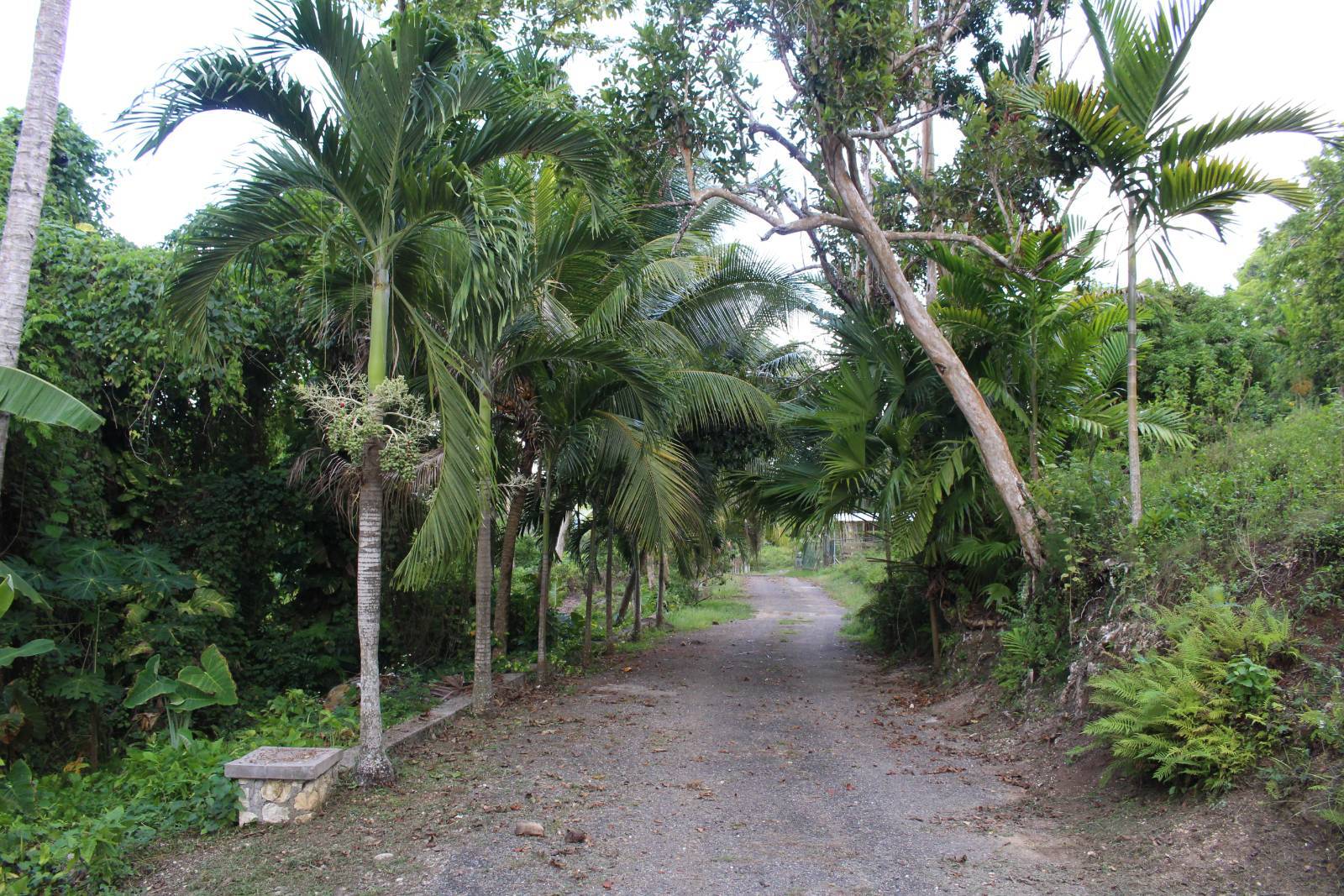 1 Windsor Estate, Retreat Jamaica, FL 00000