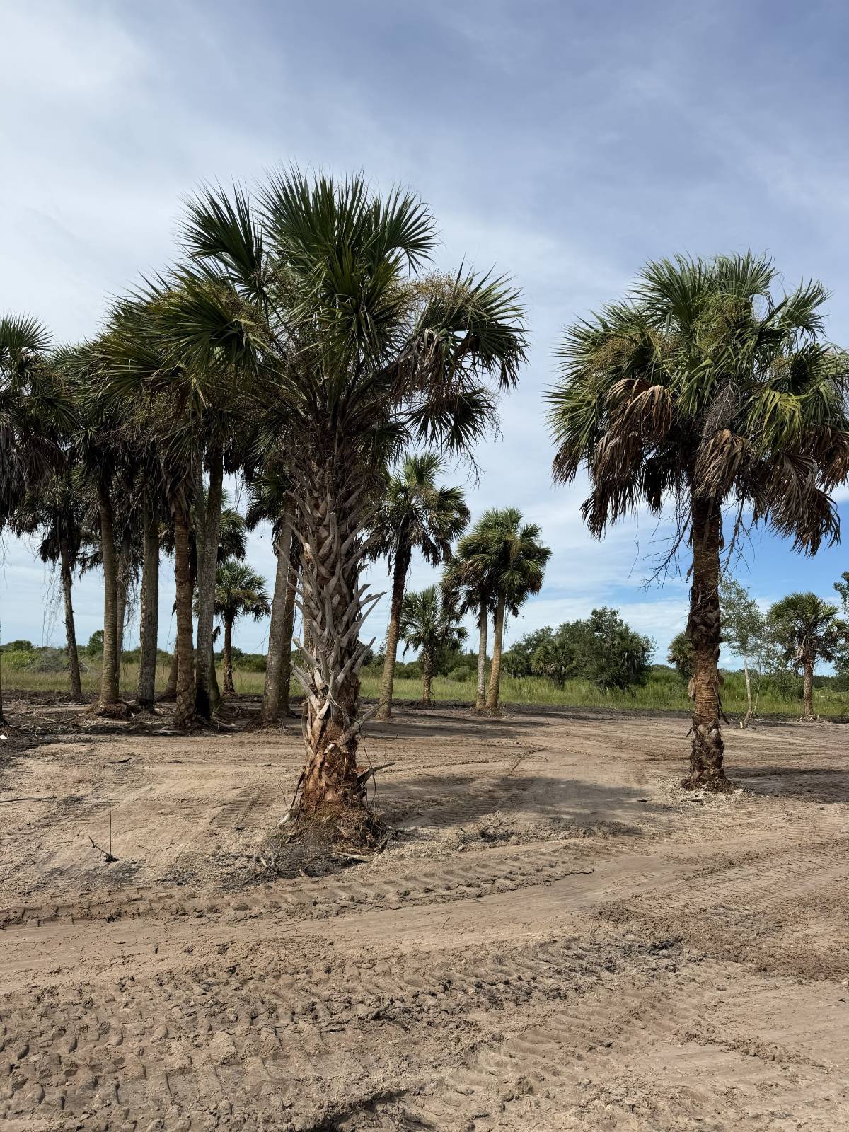 18872 NW 256th St, Okeechobee, FL 34972