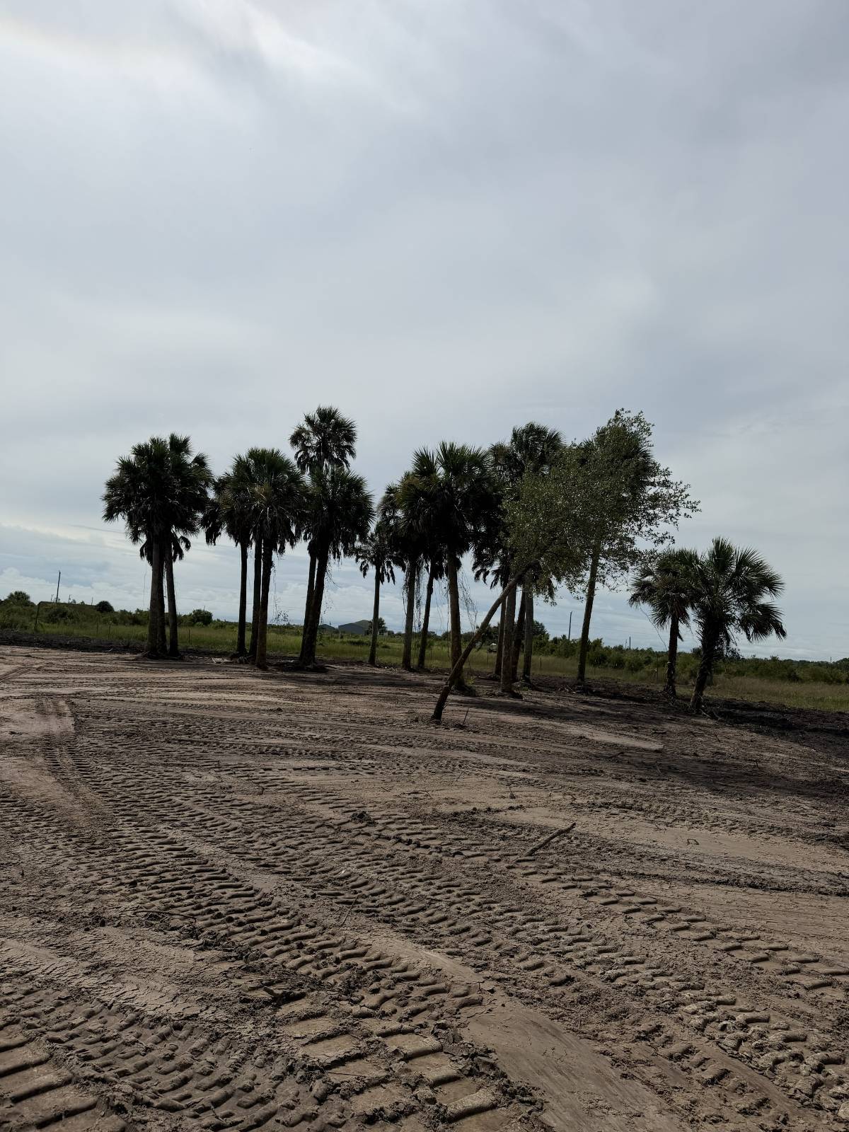 18872 NW 256th St, Okeechobee, FL 34972