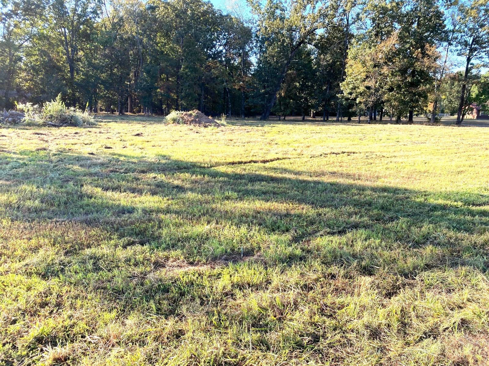 Photo 1 of 7 of land for sale at 110 COUNTRY CLUB LANE, Ashdown, AR 71822