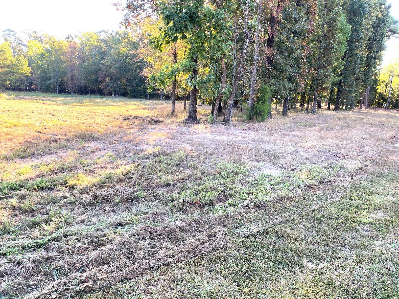 Photo 3 of 7 of land for sale at 110 COUNTRY CLUB LANE, Ashdown, AR 71822