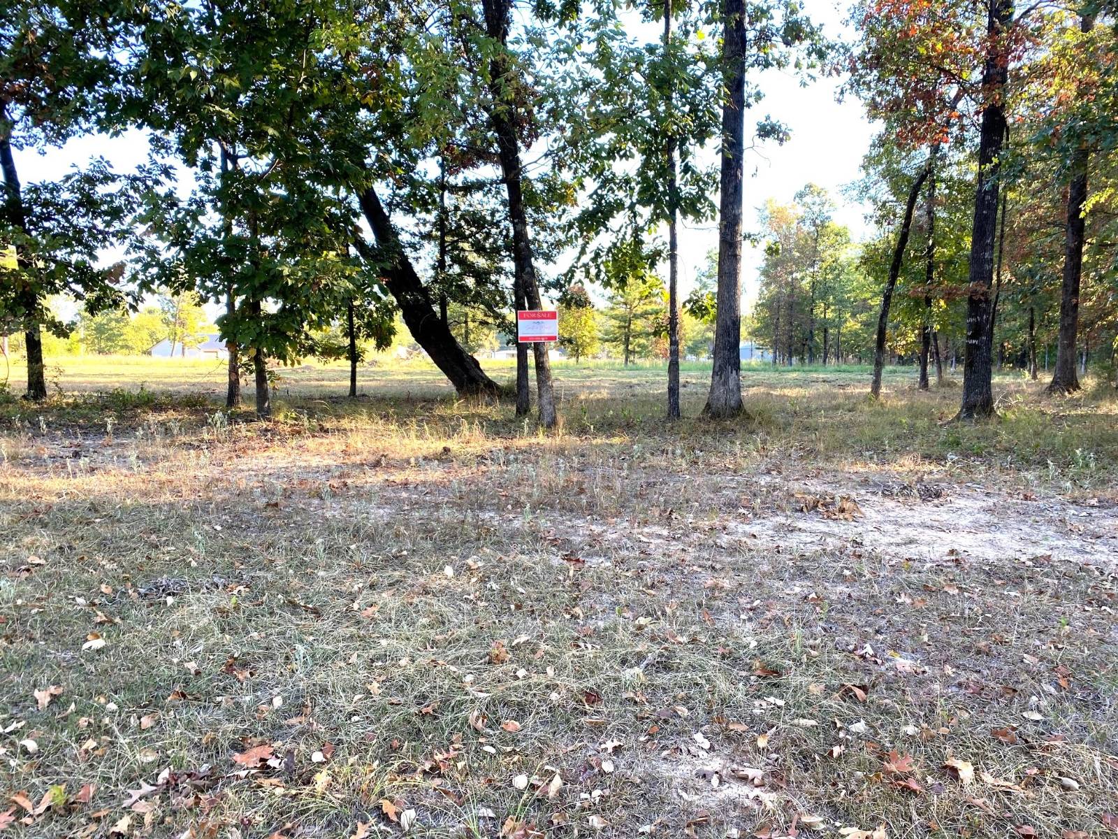 Photo 2 of 7 of land for sale at 110 COUNTRY CLUB LANE, Ashdown, AR 71822