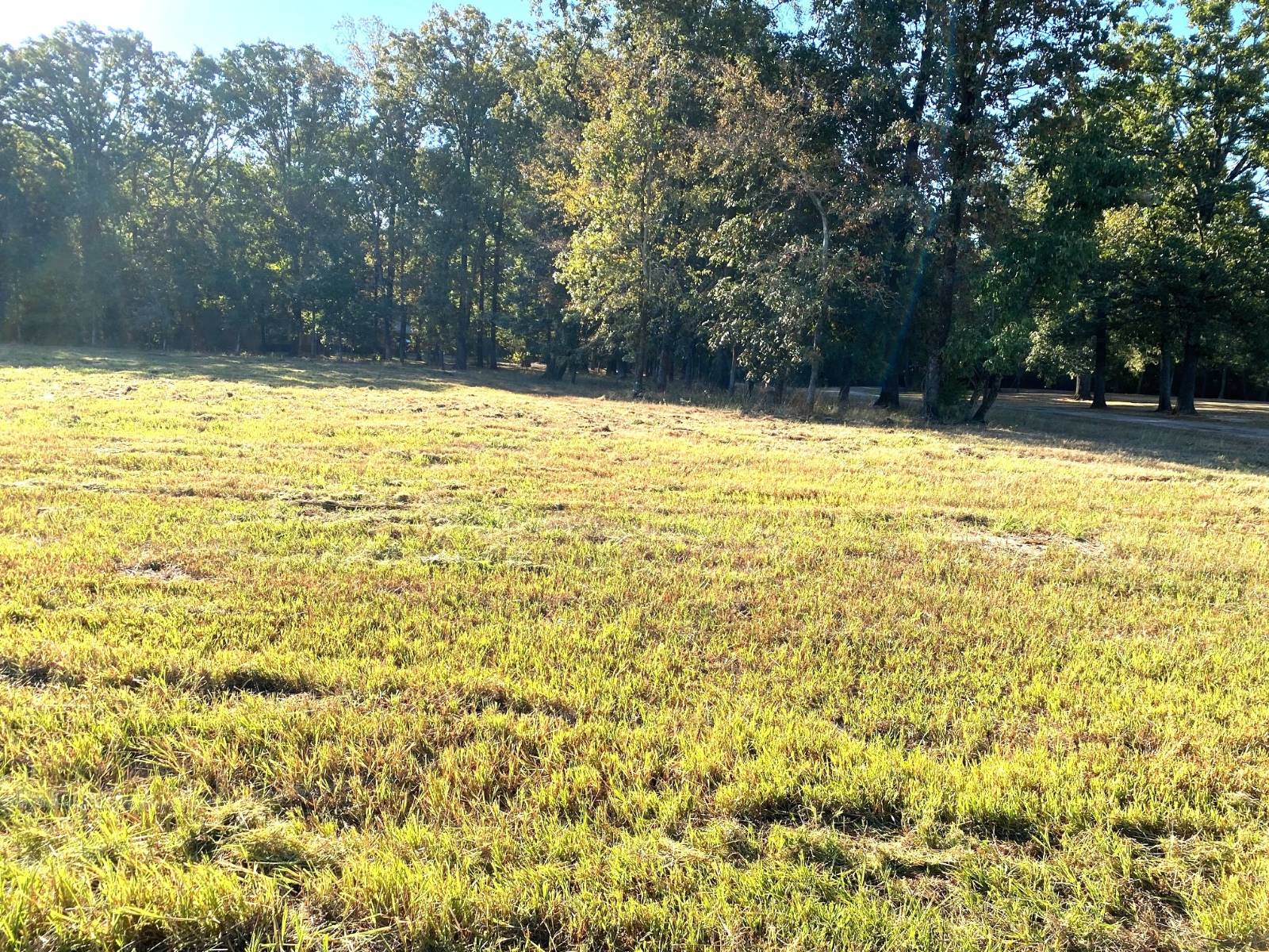 Photo 5 of 7 of land for sale at 110 COUNTRY CLUB LANE, Ashdown, AR 71822