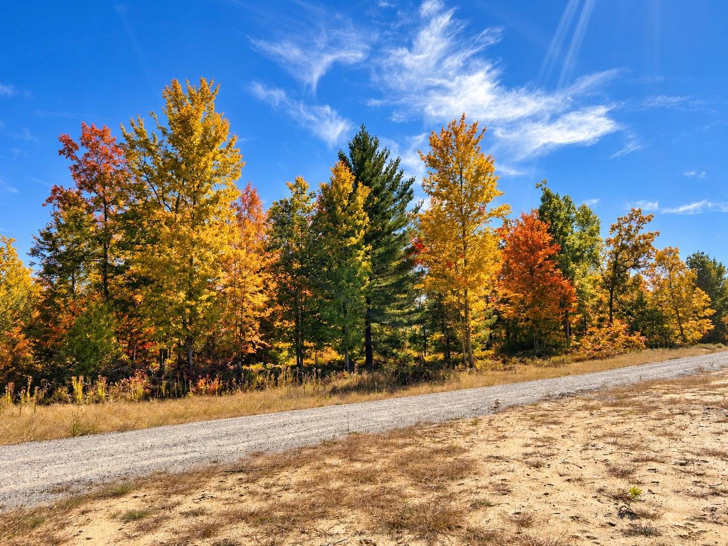 Photo 1 of 25 of land for sale at V/L Parcel 7 Down to Earth Way, Prescott, MI 48756