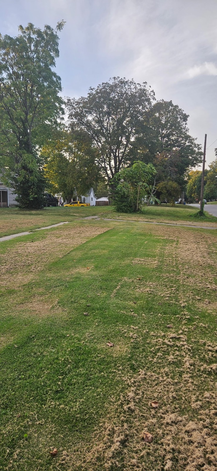 Photo 1 of 3 of land for sale at 331 E 8th Street, Mount Carmel, IL 62863